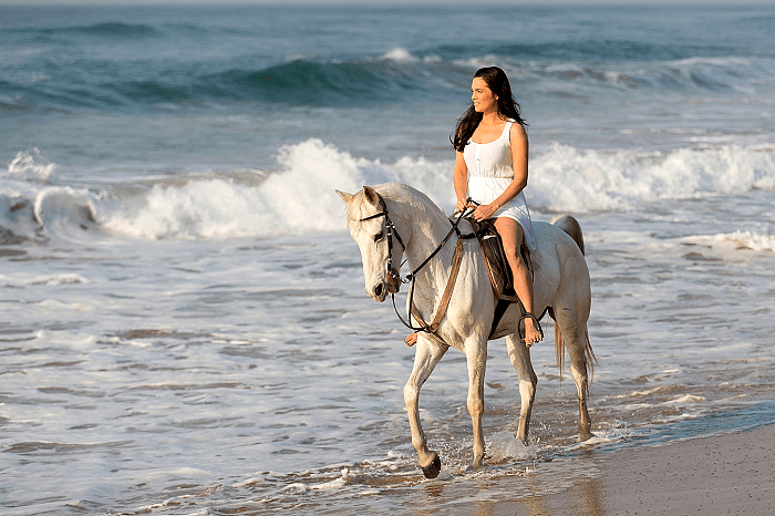 Horseback Ride along Phuket West Coast