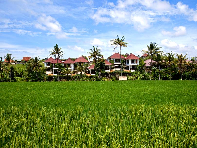 Villa Damai Bali 16